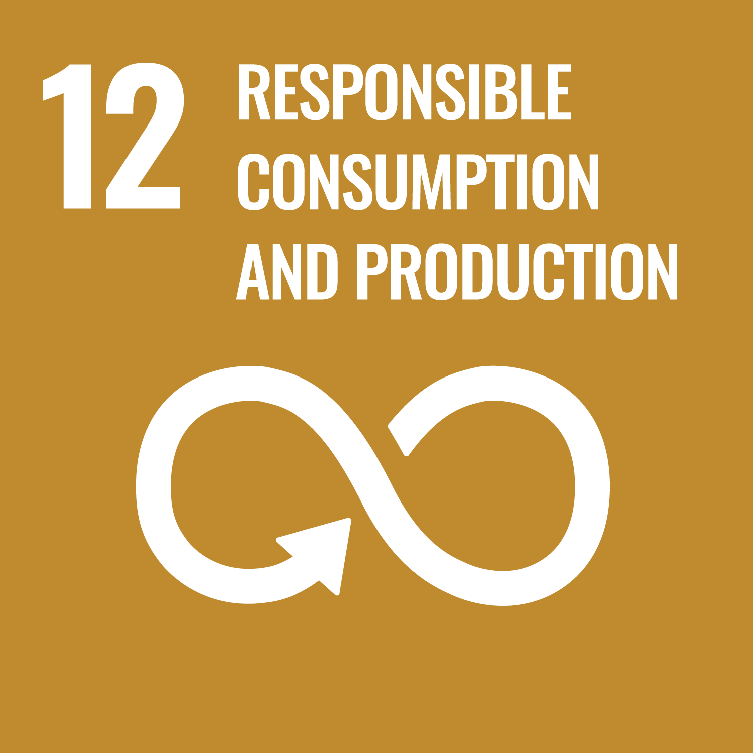 12. Responsible Consumption and Production SDG 12: Responsible Consumption and Production
