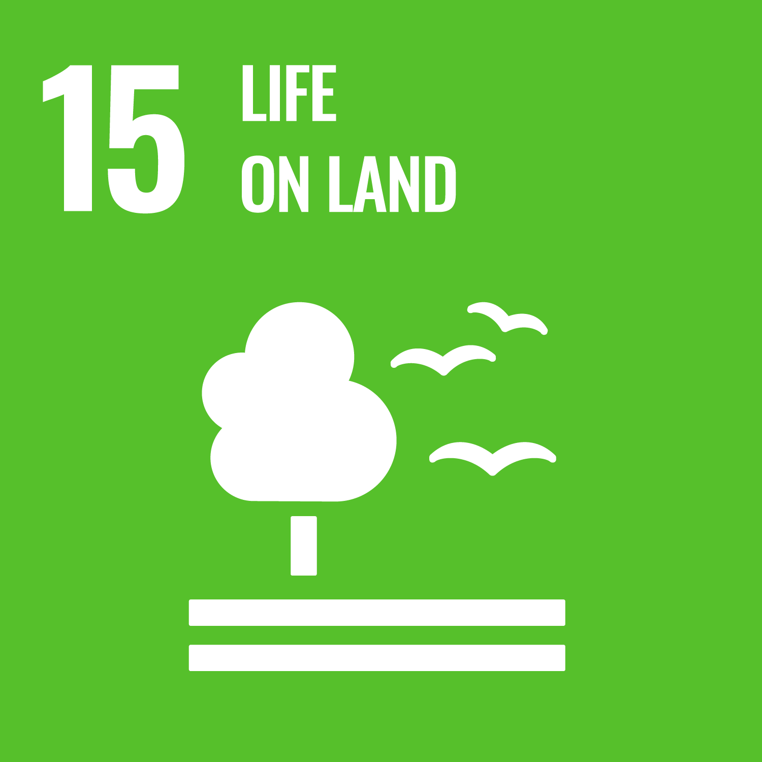 15. Life on Land SDG 15: Life on Land