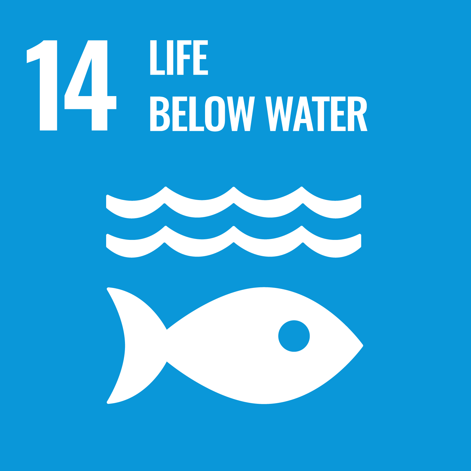 14. Life Below Water SDG 14: Life Below Water